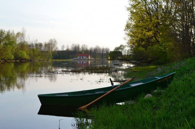 BURSH alus brūzis 